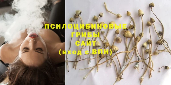прущая мука Инта