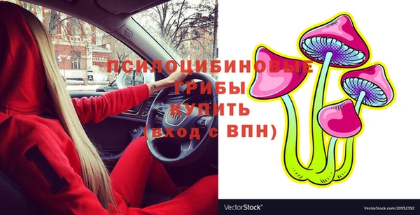 первитин Снежинск