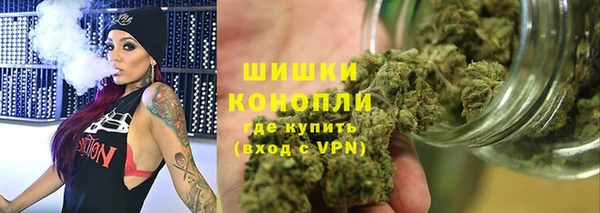 прущая мука Инта