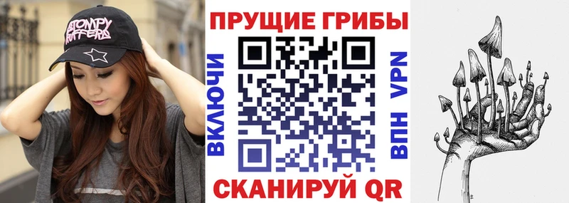 купить Нижний Новгород Галлюциногенные грибы мухоморы
