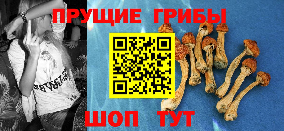 Галлюциногенные грибы прущие грибы  сколько стоит  Нижний Новгород 