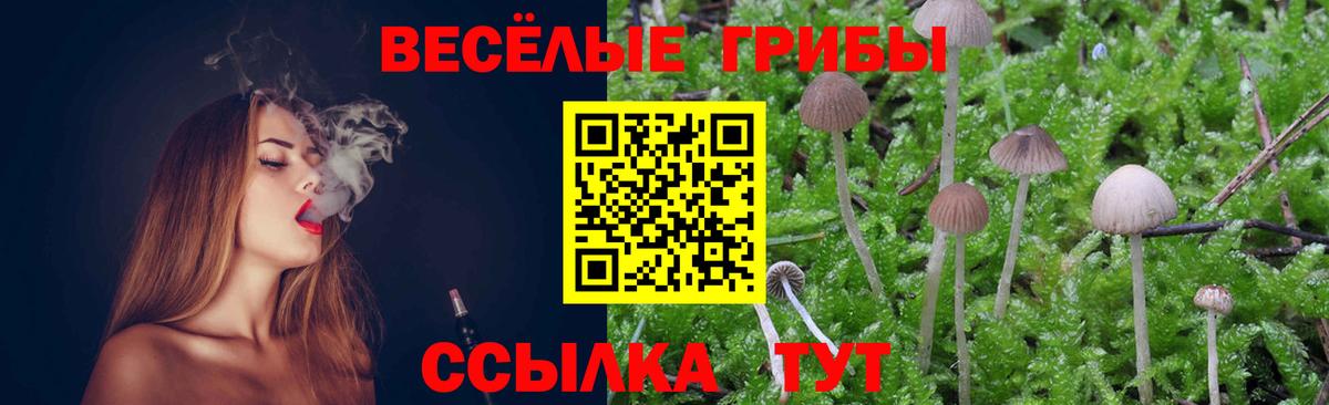 Псилоцибиновые грибы мухоморы  Вход с VPN  Нижний Новгород 