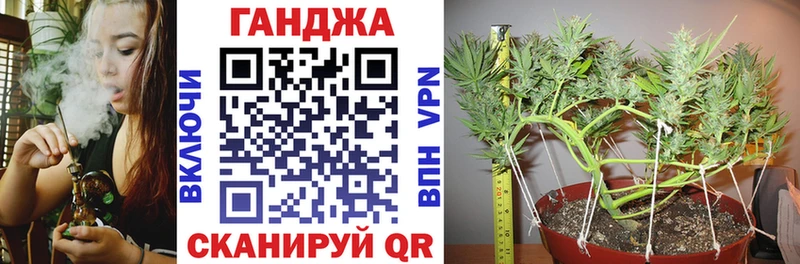 продажа наркотиков Нижний Новгород Канабис гибрид